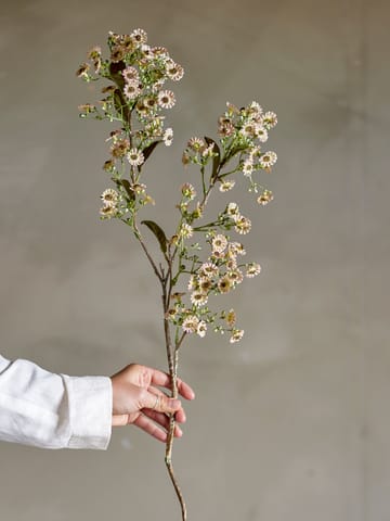 Stem Wachsblume - Weiß - Bloomingville