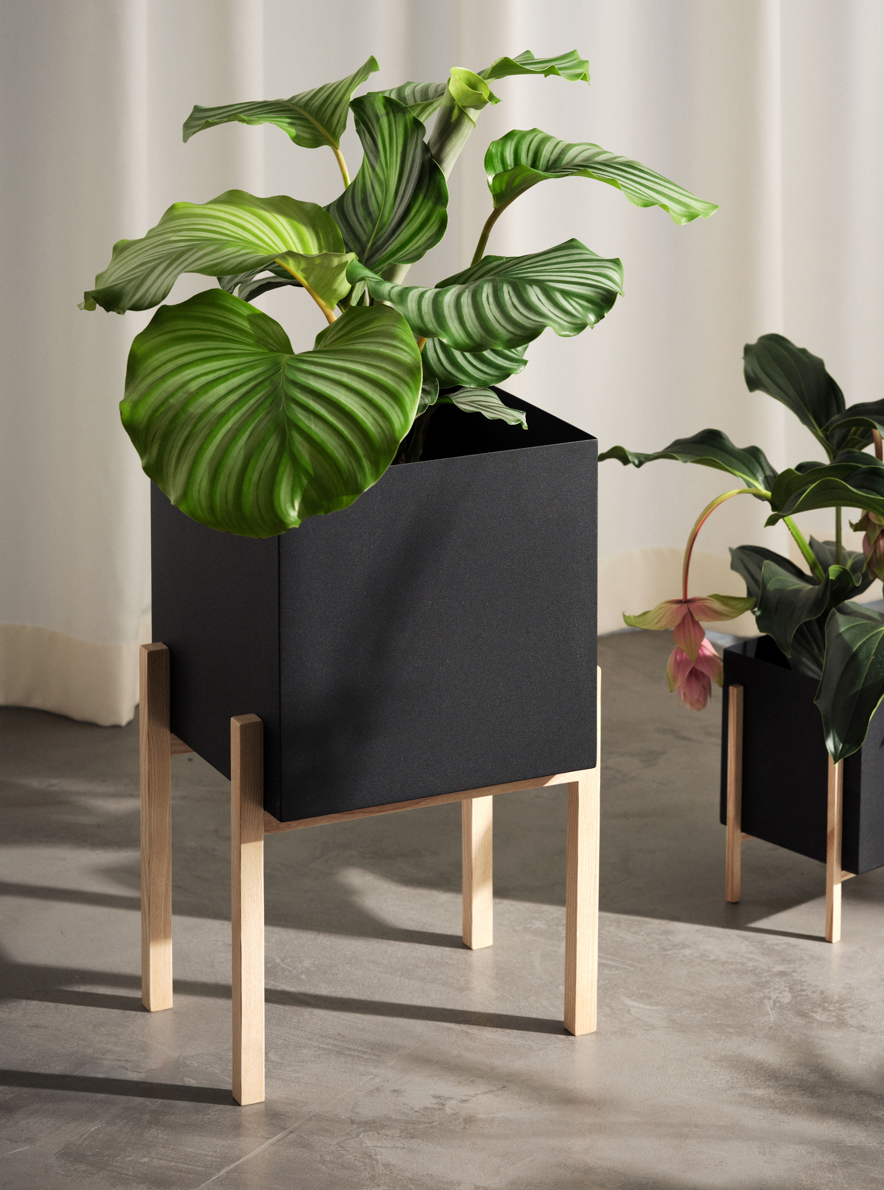 → House Stockholm | pedestal Botanic Blumentopf Design