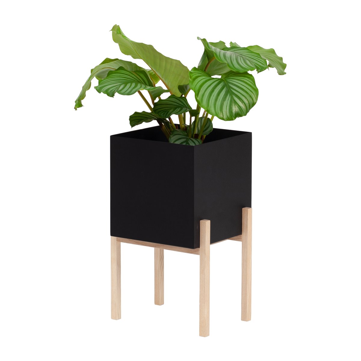 Design House Stockholm Botanic pedestal Blumentopf Schwarz-Esche