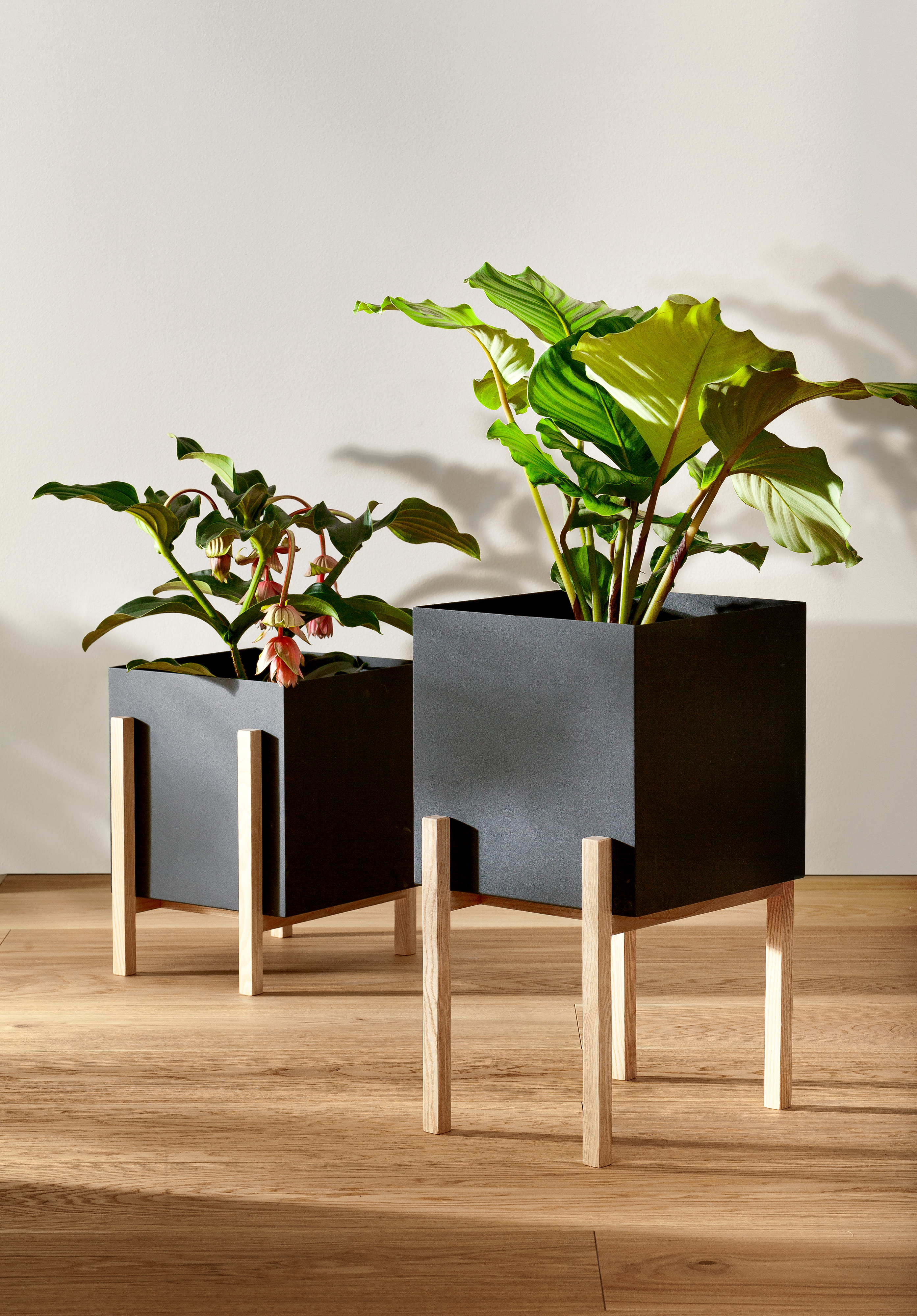 Botanic pot Blumentopf House | Design → Stockholm