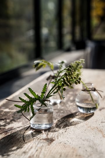 Ernst Vase Geschenkverpackung 3 Teile - Klar - ERNST