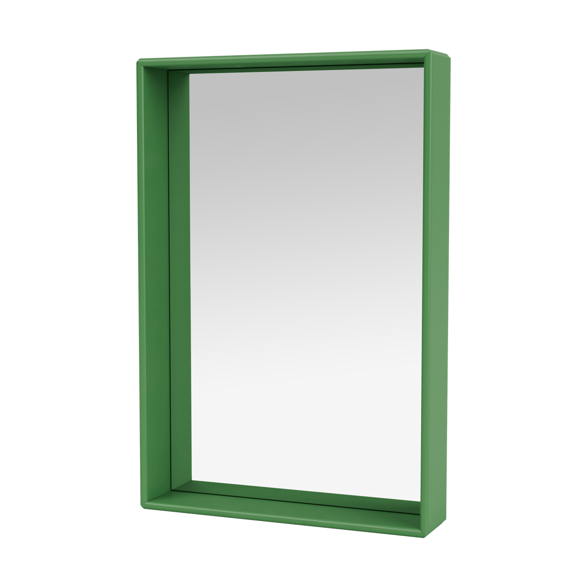 Montana Shelfie colour frame Spiegel 46,8x69,6 cm Parsley