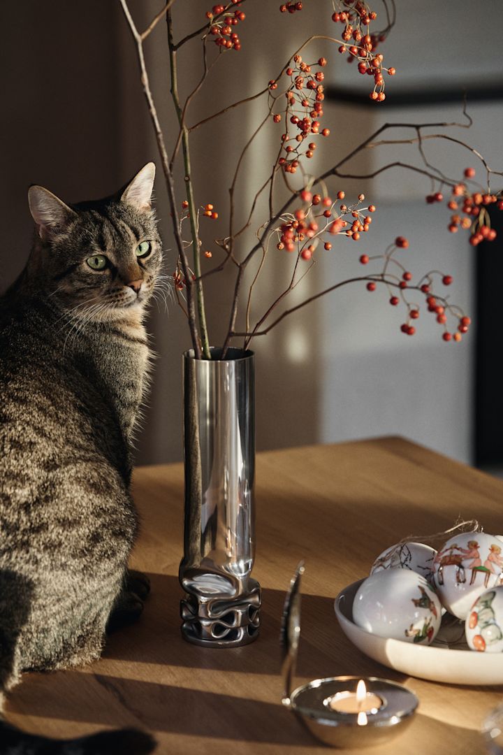 Hier sehen Sie eine Katze auf einem Couchtisch sitzen, daneben die Hydraulic Vase, den Shell Teelichthalter, sowie eine Schale mit den Elsa Beskow Weihnachtsbaumkugeln, alles von Design House Stockholm.