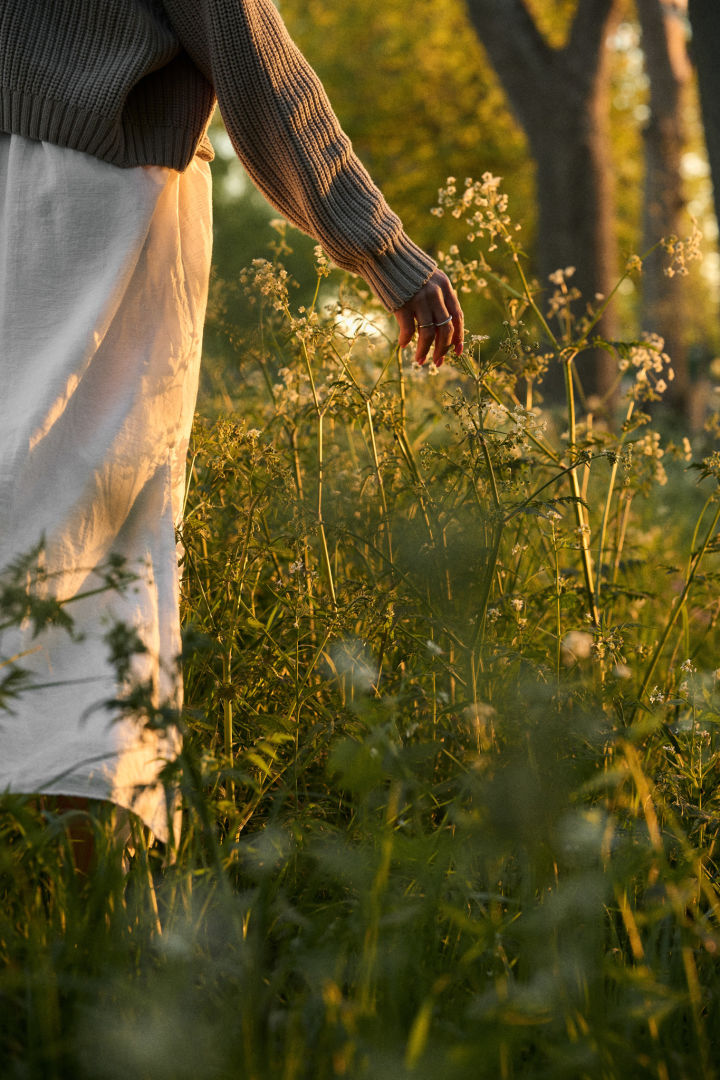 Dieses Bild fängt die mittsommerliche Stimmung in Schweden perfekt ein �– hier sehen Sie eine Frau durch eine Wiese bei Sonnenuntergang spazieren.