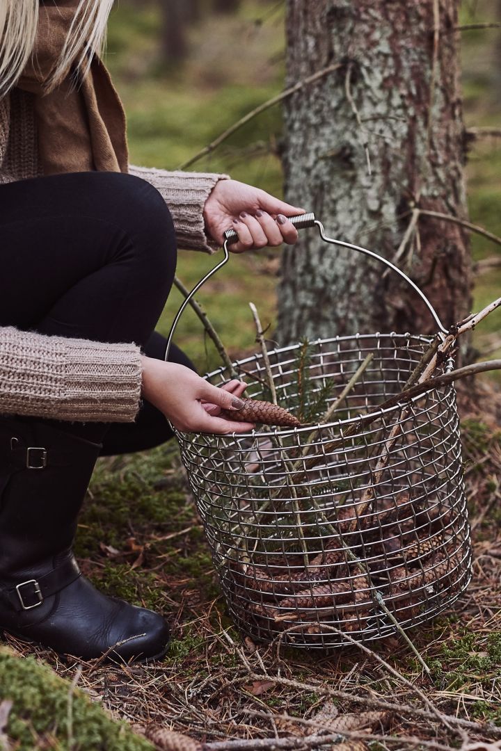 Skandinavischer Lifestyle für diesen Winter - Pilze sammeln im Wald mit einem Korbo-Metallkorb. 